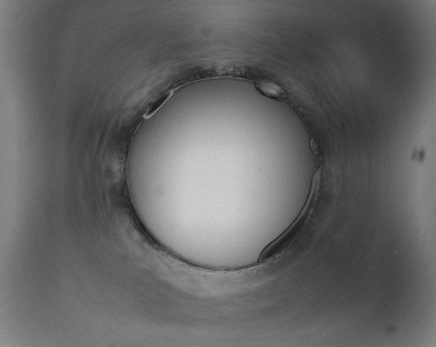 X0000112090039200908041059