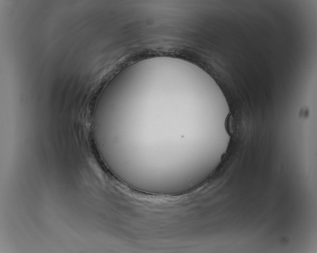 X0000112090040200908041059