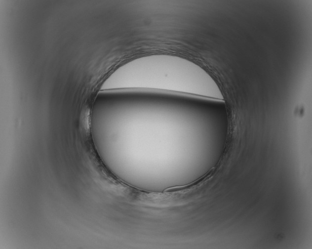 X0000112090041200908041059