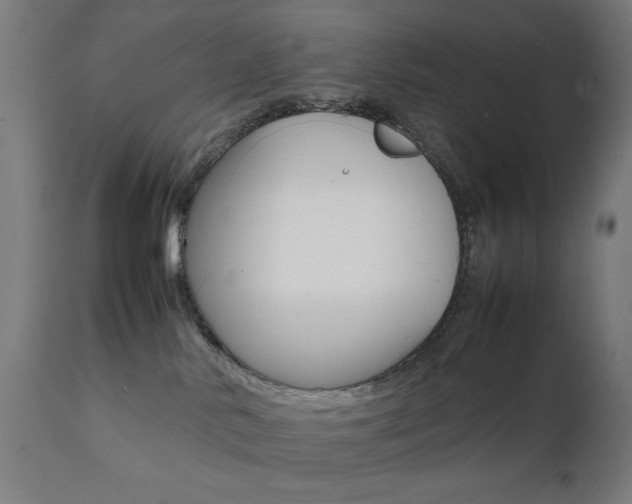 X0000112090042200908041059