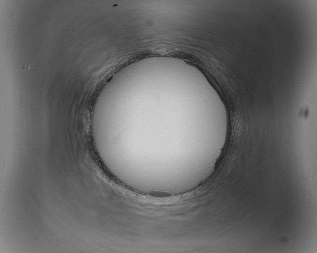 X0000112090043200908041059