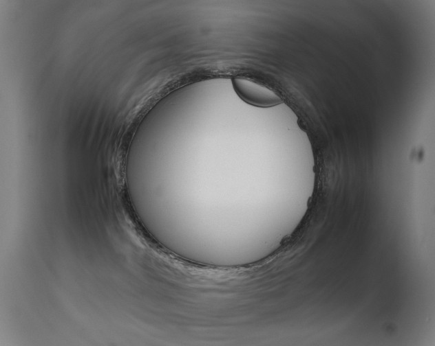 X0000112090044200908041059