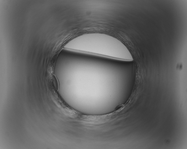 X0000112090045200908041059