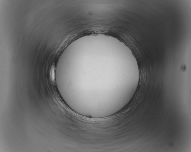 X0000112090046200908041059