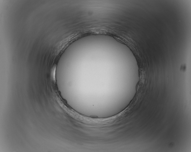 X0000112090047200908041059