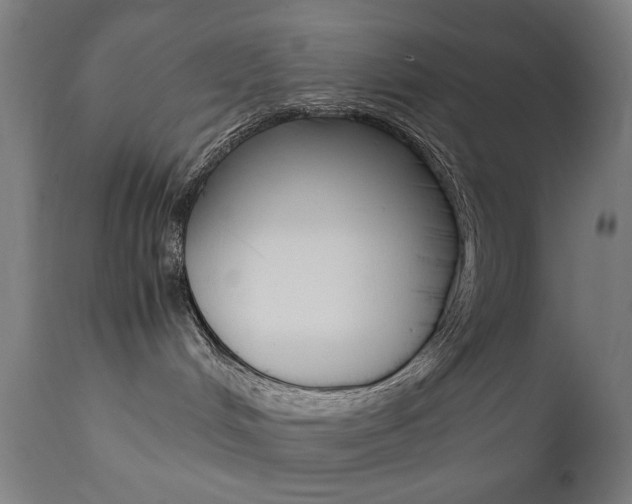 X0000112090048200908041059
