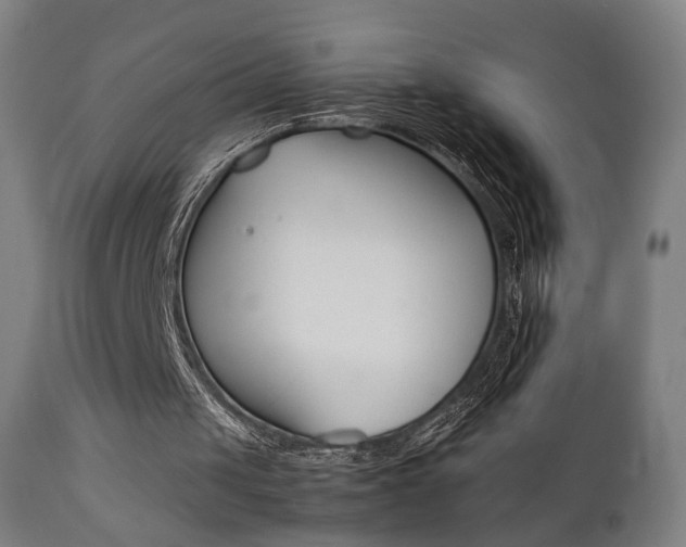 X0000112090049200908041058