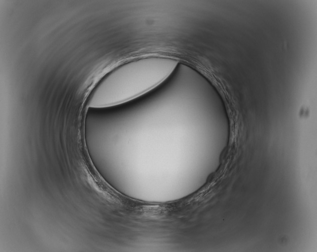 X0000112090050200908041058