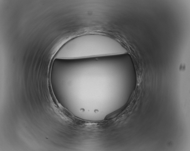 X0000112090052200908041058