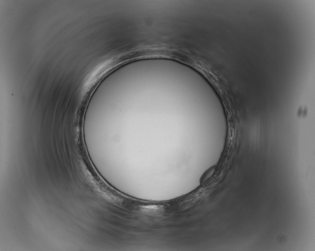 X0000112090053200908041058