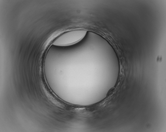 X0000112090054200908041058