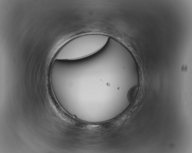 X0000112090055200908041058