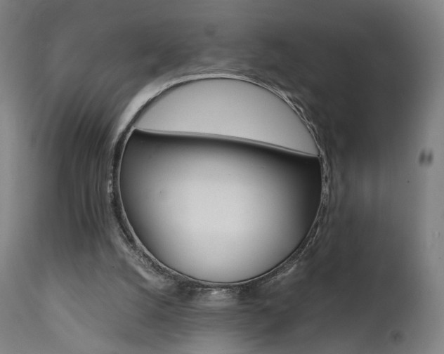 X0000112090056200908041058