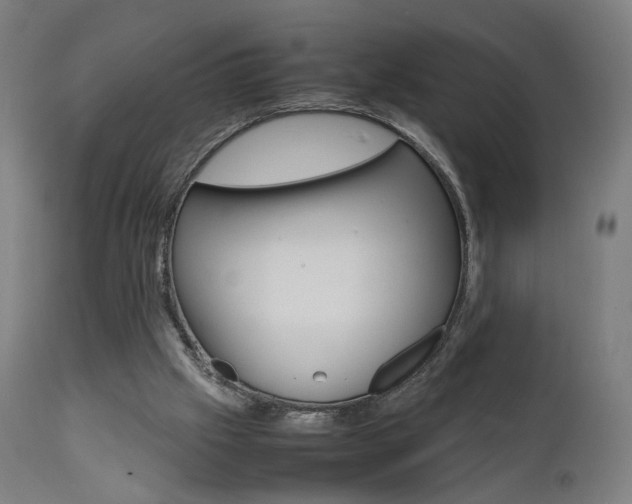 X0000112090057200908041058
