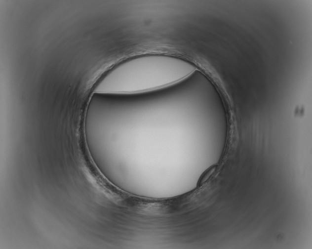 X0000112090058200908041058