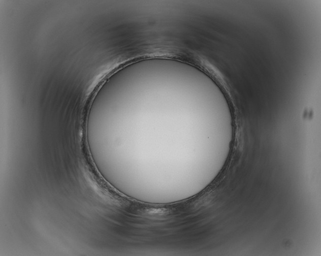 X0000112090059200908041058