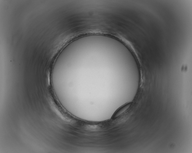 X0000112090061200908041058