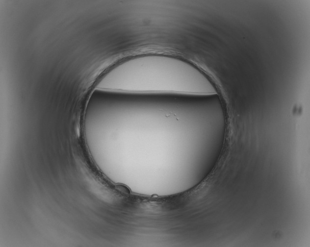 X0000112090062200908041058