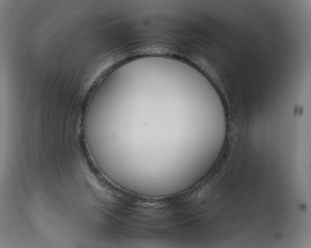 X0000112090063200908041058