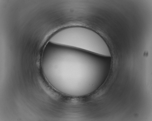 X0000112090064200908041058