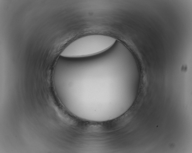 X0000112090066200908041058