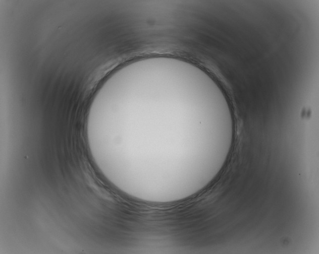 X0000112090068200908041058