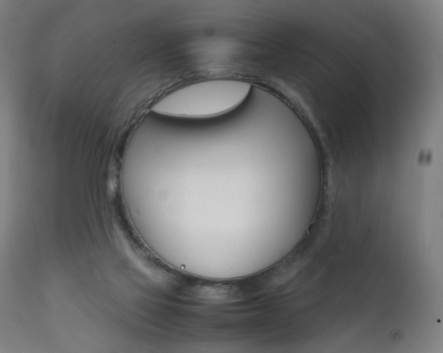 X0000112090069200908041058