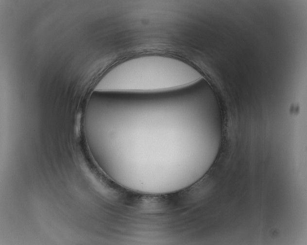 X0000112090070200908041058