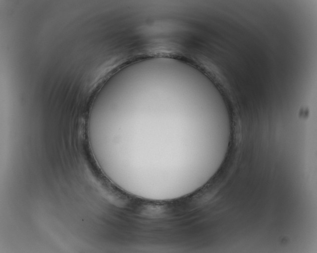 X0000112090071200908041058