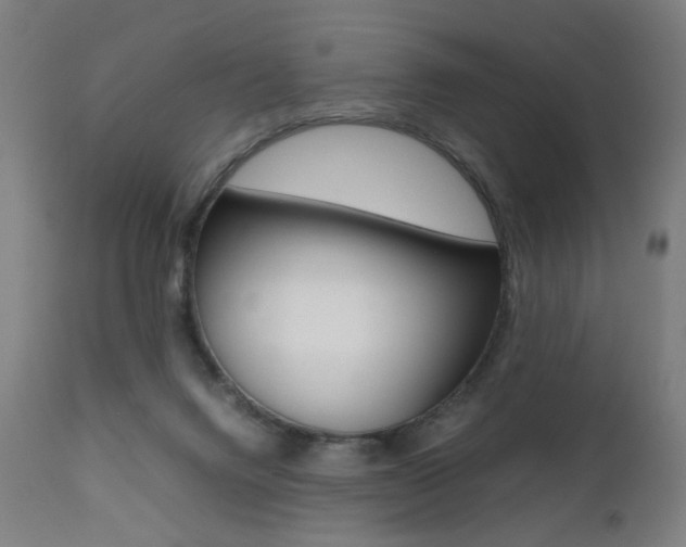 X0000112090072200908041058
