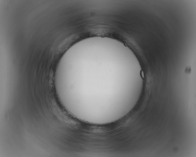 X0000112090073200908041058
