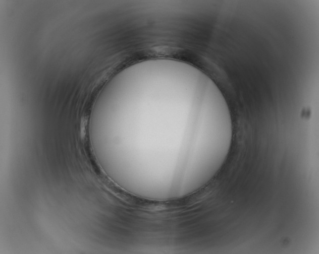 X0000112090075200908041058