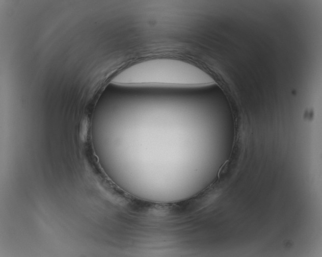 X0000112090076200908041058