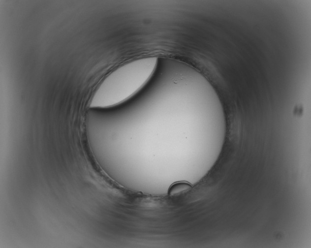 X0000112090077200908041058
