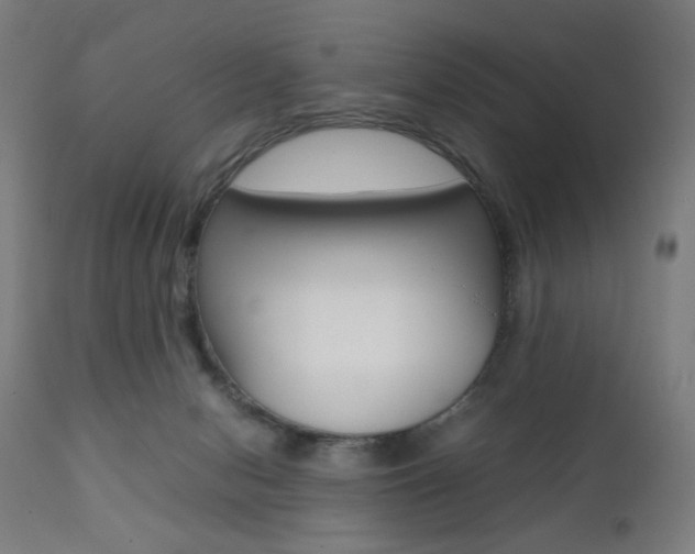 X0000112090078200908041058