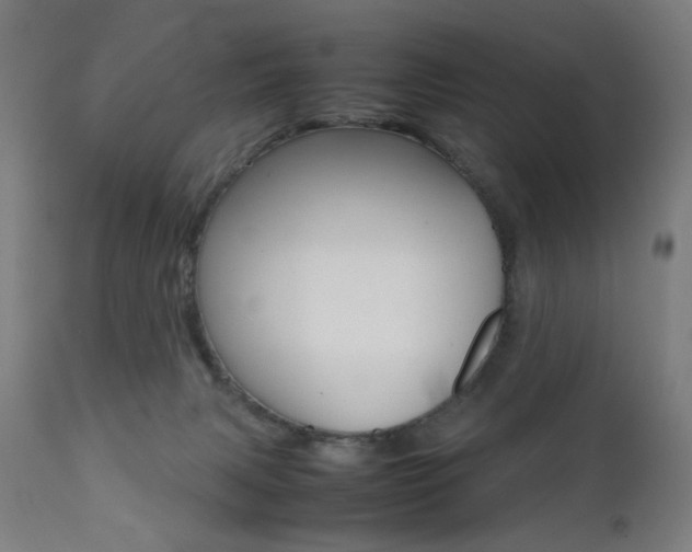 X0000112090079200908041059