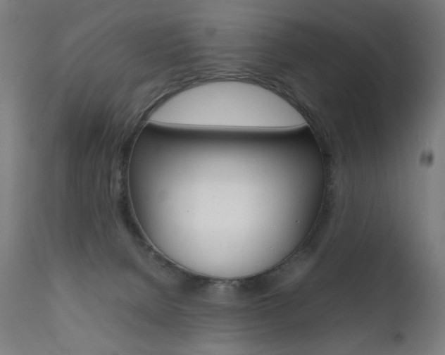 X0000112090080200908041059