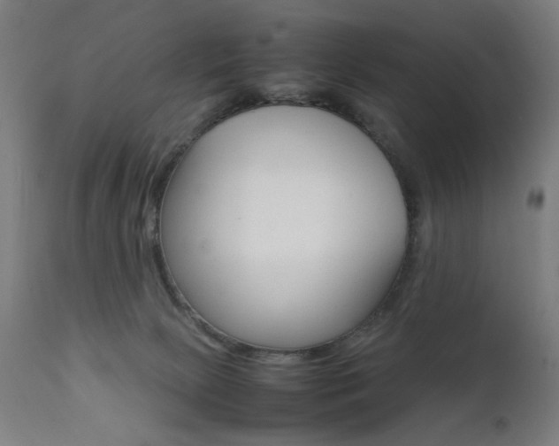 X0000112090081200908041059
