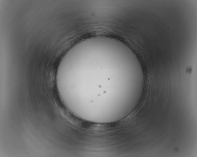 X0000112090082200908041059