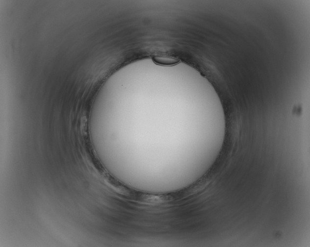 X0000112090083200908041059