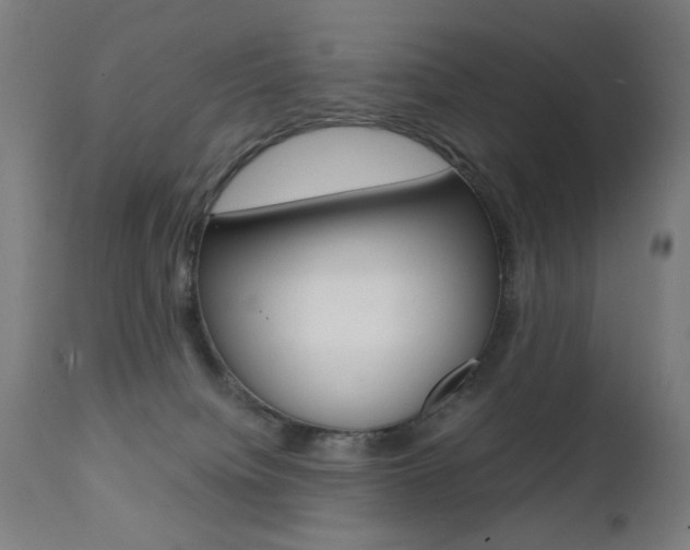 X0000112090084200908041059