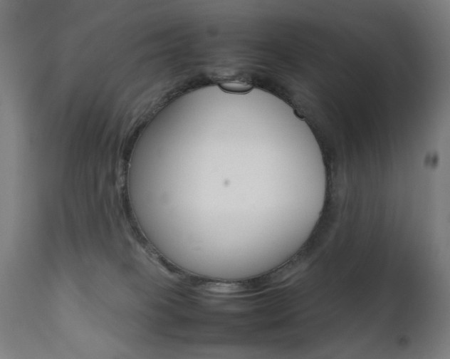 X0000112090085200908041059