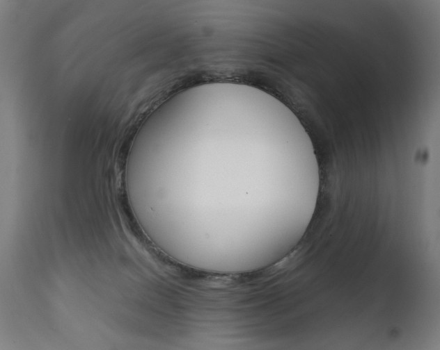 X0000112090086200908041059