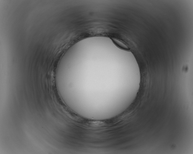 X0000112090087200908041059