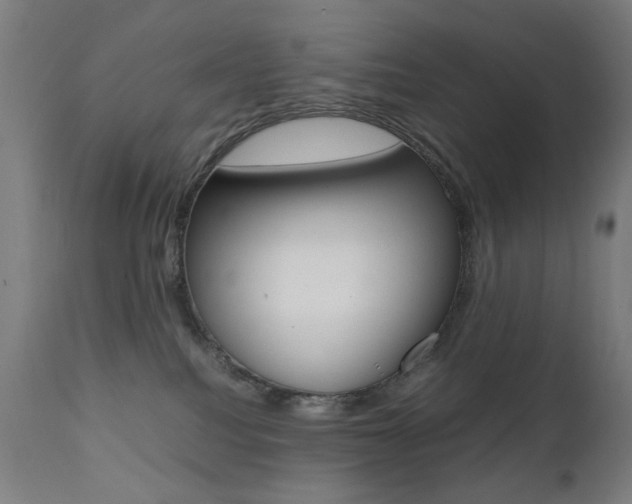 X0000112090088200908041059
