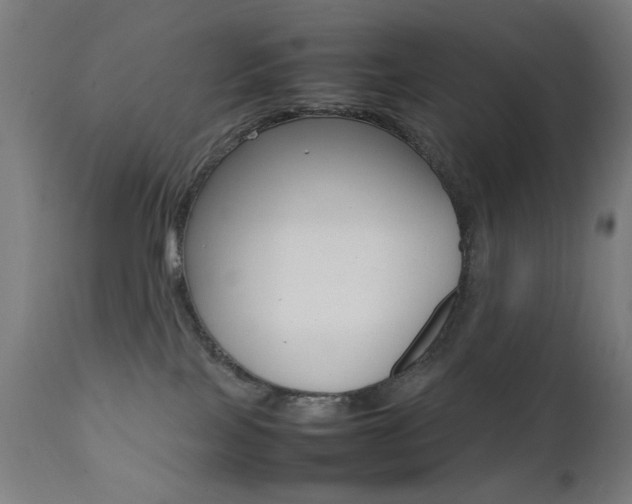 X0000112090089200908041059