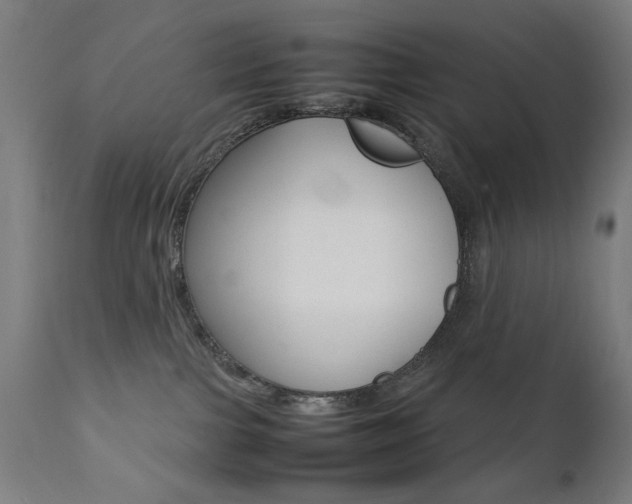 X0000112090091200908041059
