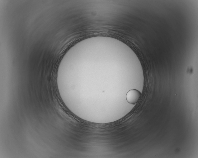 X0000112090092200908041059