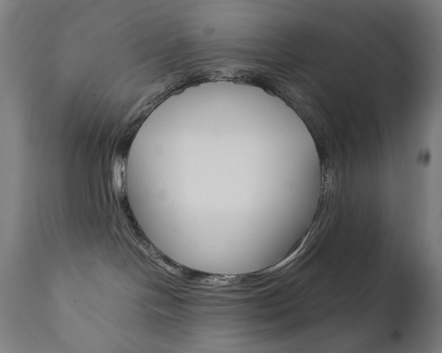 X0000112090094200908041059