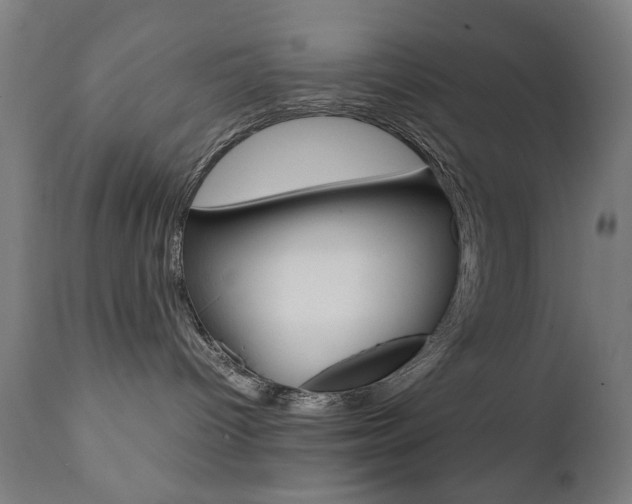X0000112090096200908041059